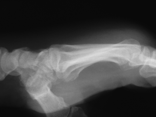 Fig. 4