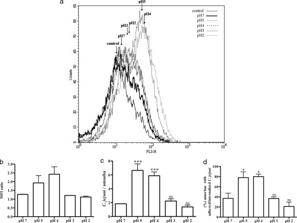 FIG. 2.