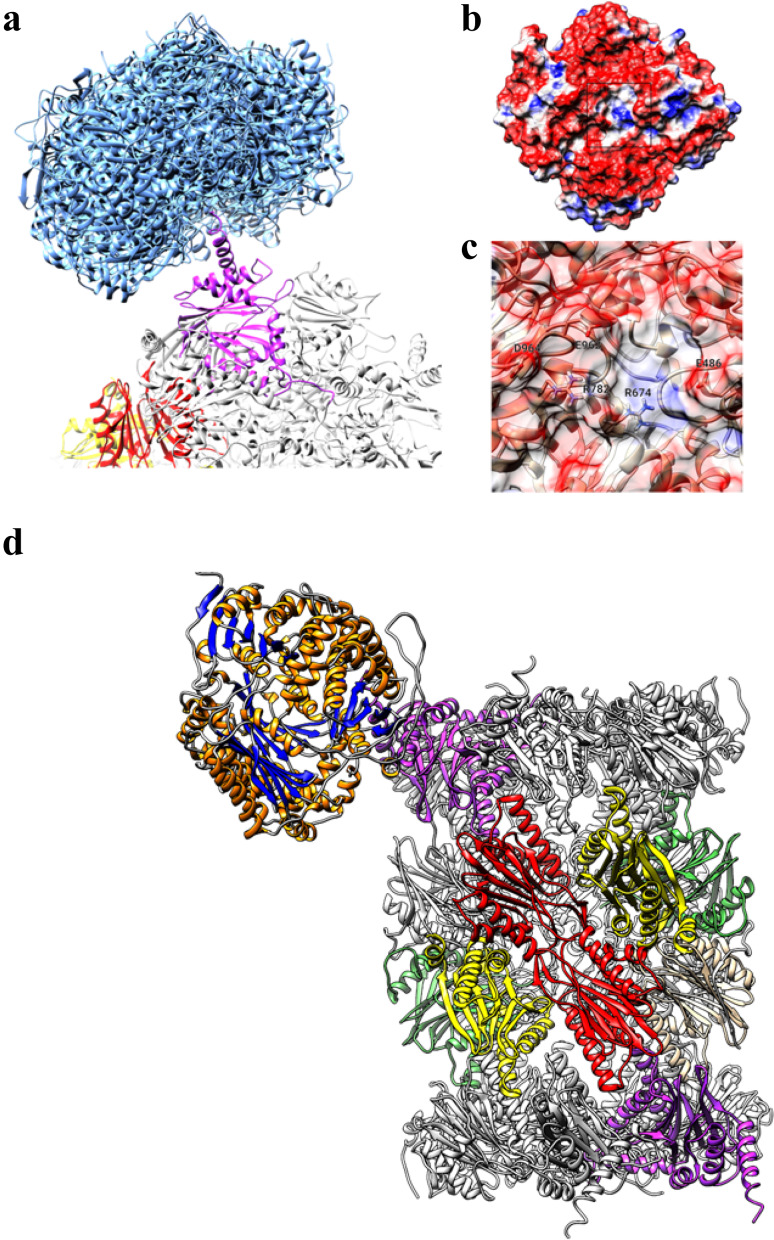 Fig. 6