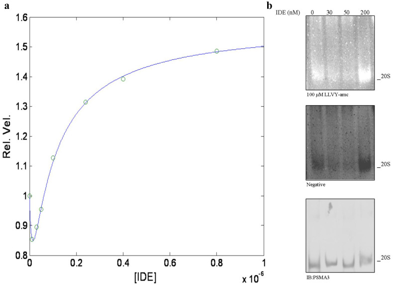 Fig. 4