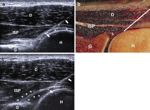 Fig. 6