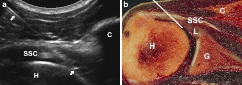 Fig. 5