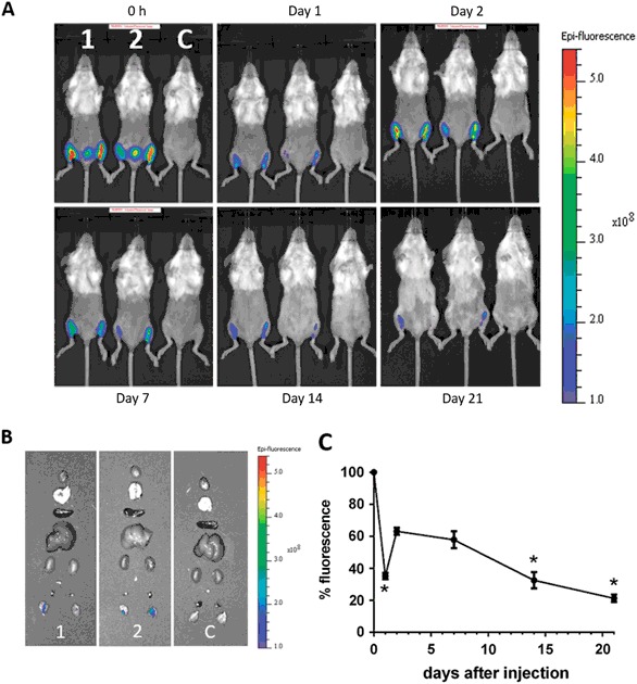 Fig. 2