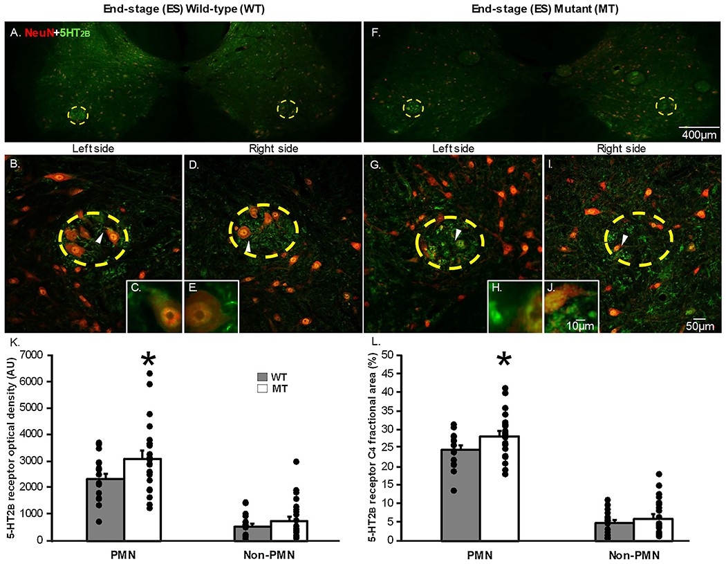 Figure 4: