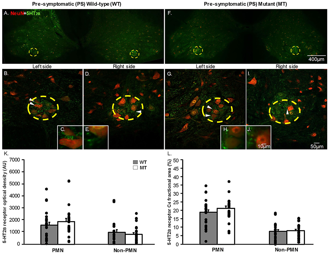 Figure 3: