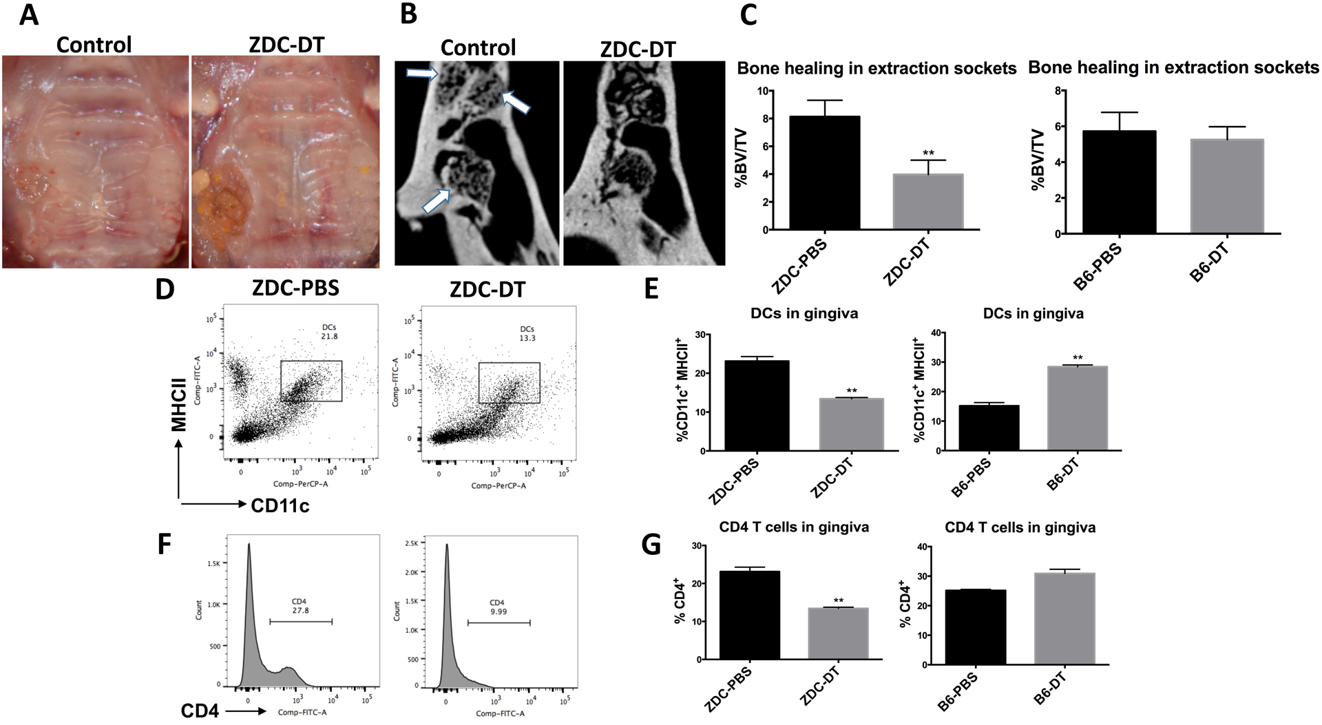 Fig 2: