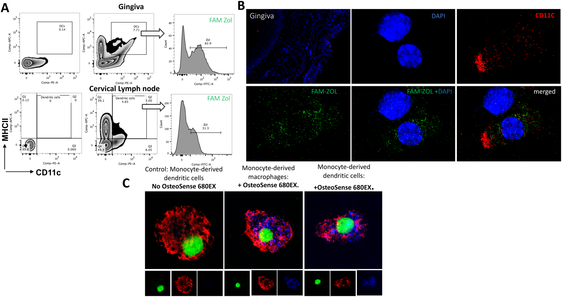 Fig 3: