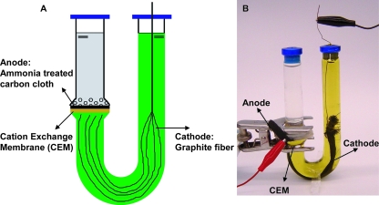 FIG. 1.