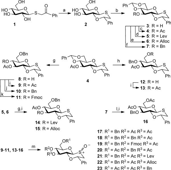 Scheme 2