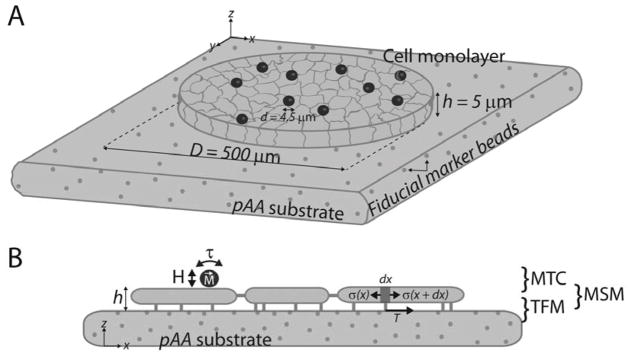 Fig. 4