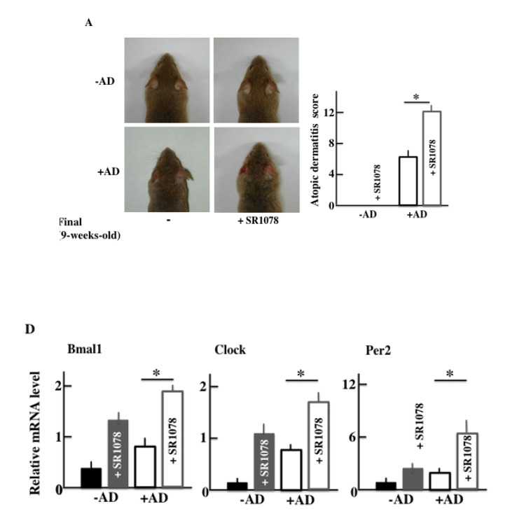 Fig. (8)