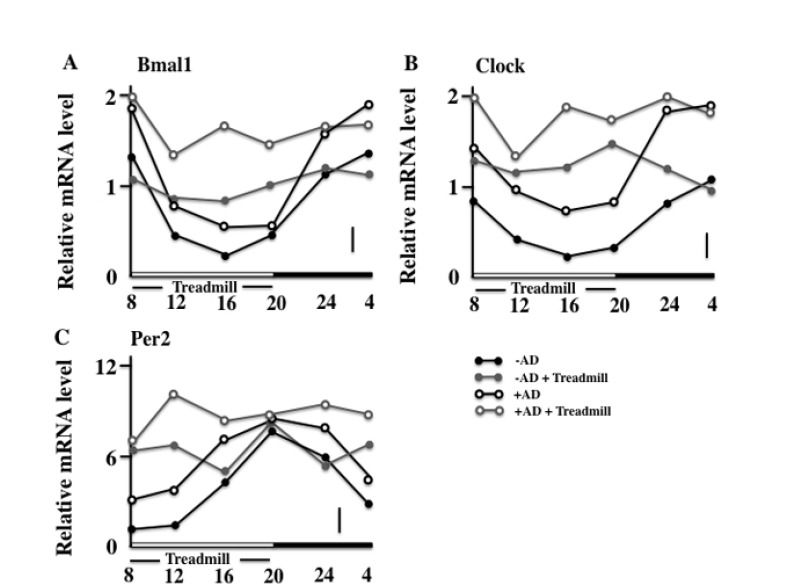 Fig. (5)