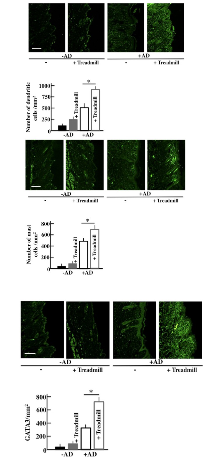 Fig. (6)