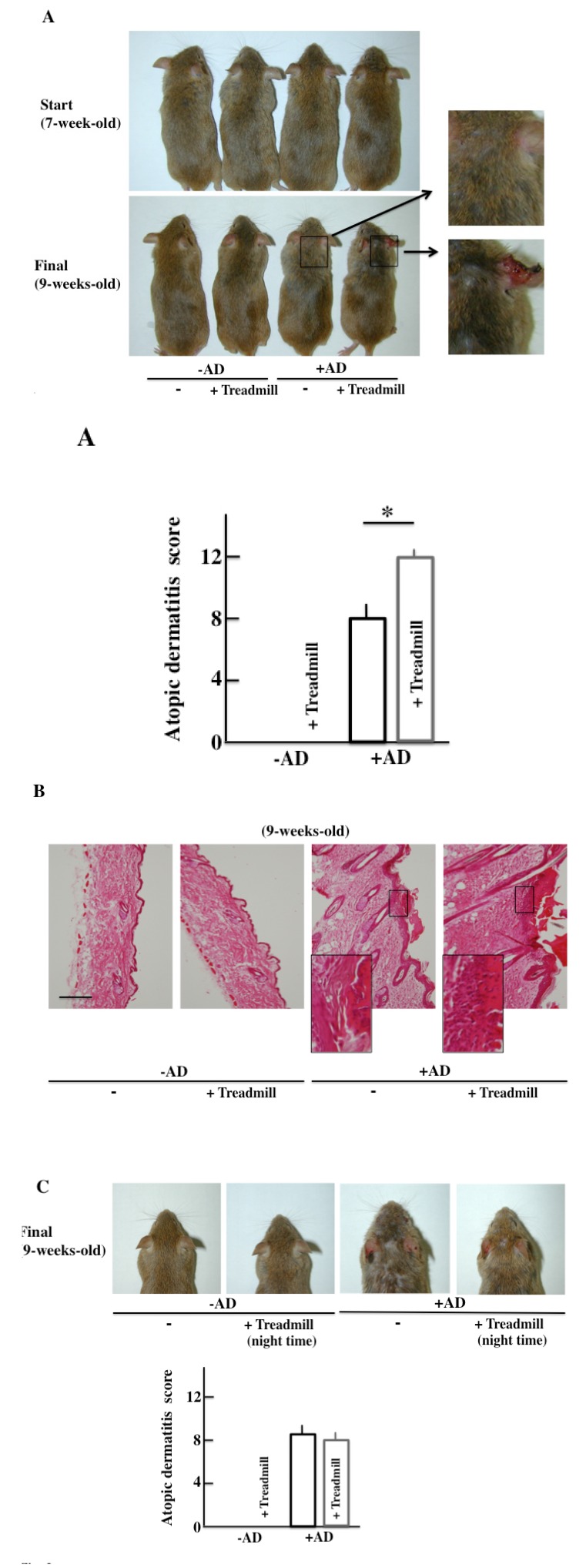 Fig. (3)