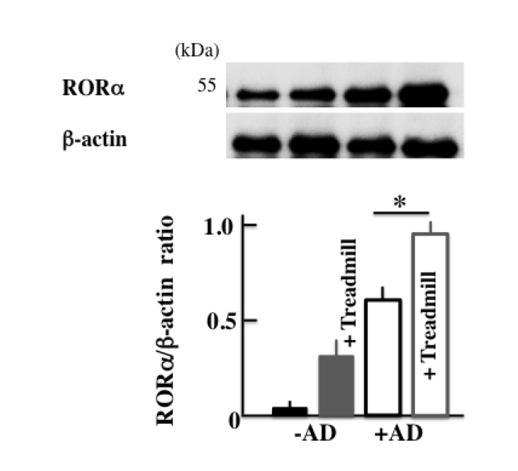 Fig. (7)