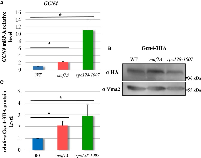 Figure 10.