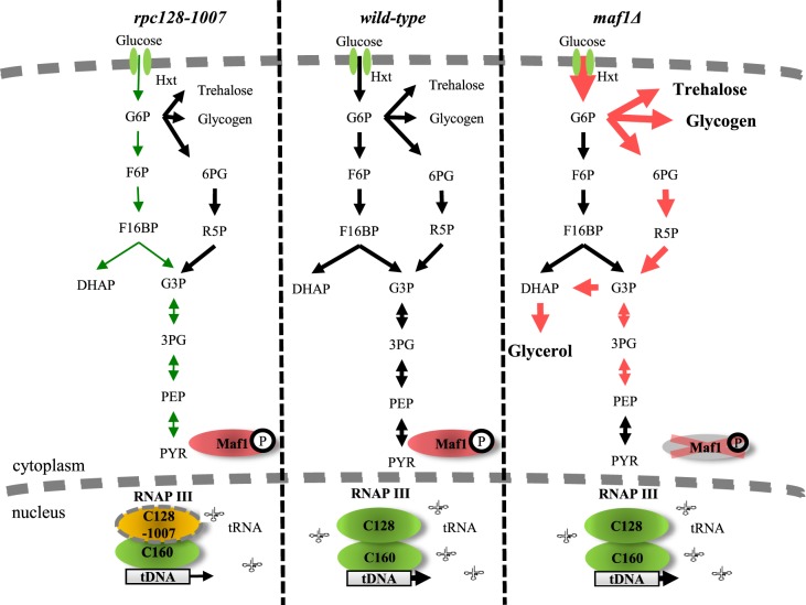 Figure 12.