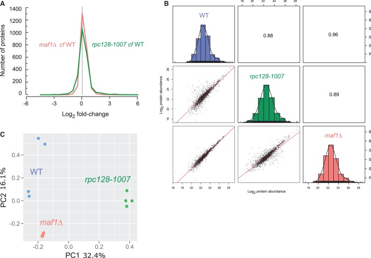 Figure 2.