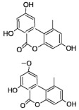 graphic file with name molecules-26-03769-i007.jpg