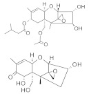 graphic file with name molecules-26-03769-i005.jpg