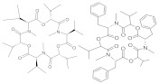 graphic file with name molecules-26-03769-i006.jpg