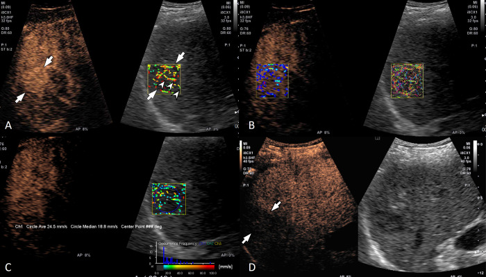 Fig 3