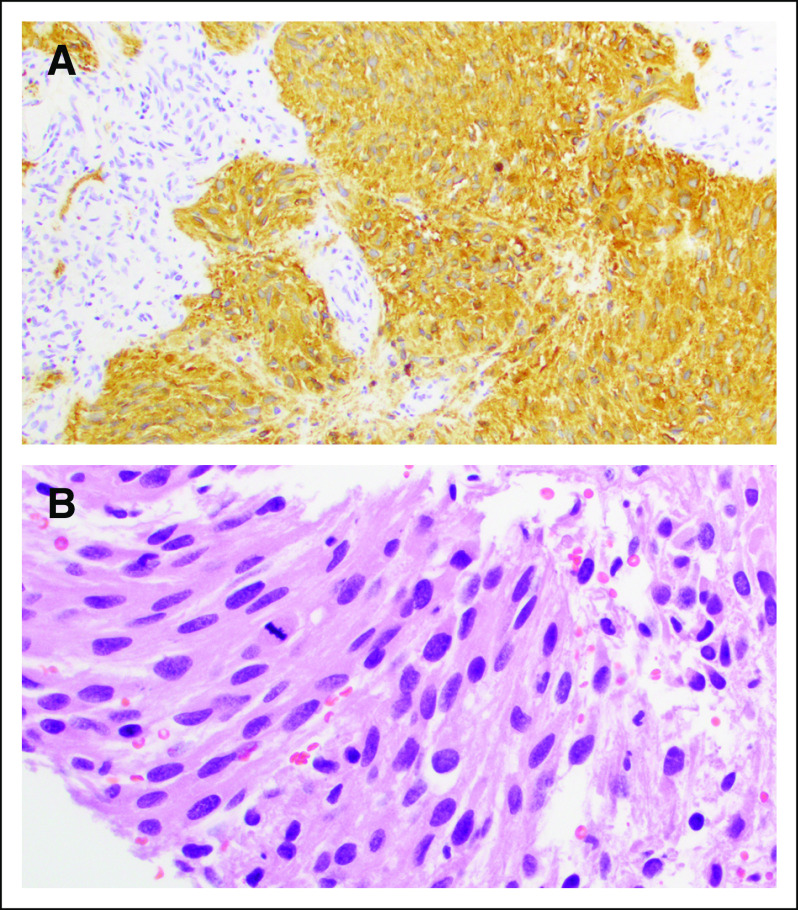 FIG 3.