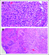 FIG 2.