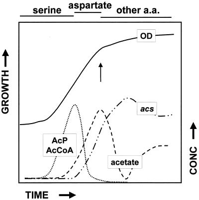 FIG. 8