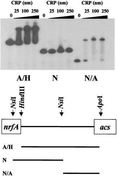 FIG. 6