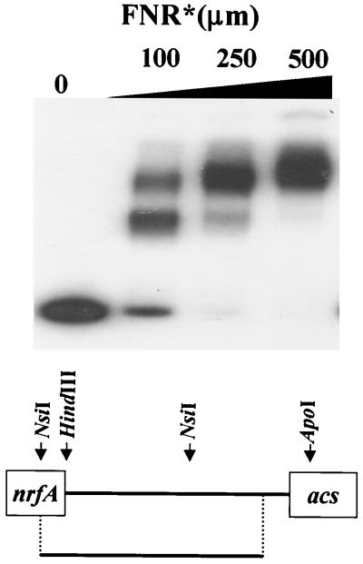 FIG. 7