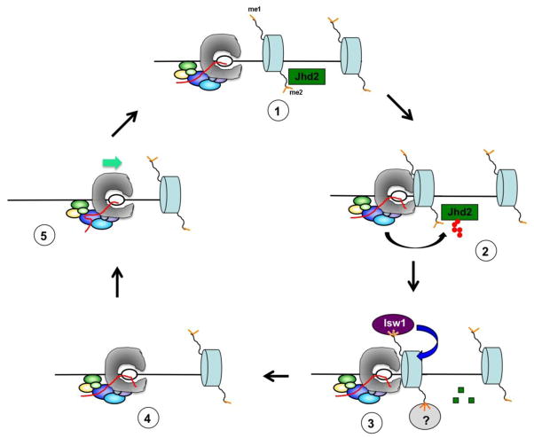 Figure 2