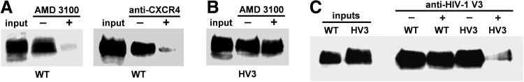 FIG. 5.