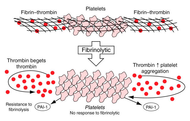 Figure 3:  