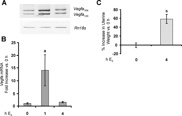 FIG. 5.