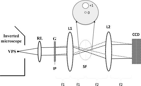 Fig. 1