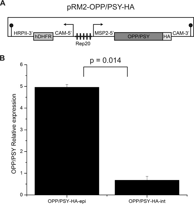 FIG 4