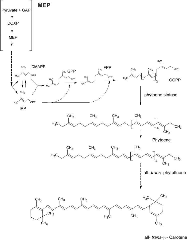 FIG 1