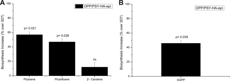 FIG 6