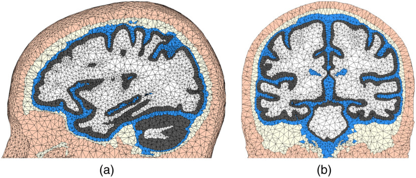 Fig. 8