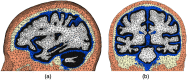 Fig. 8