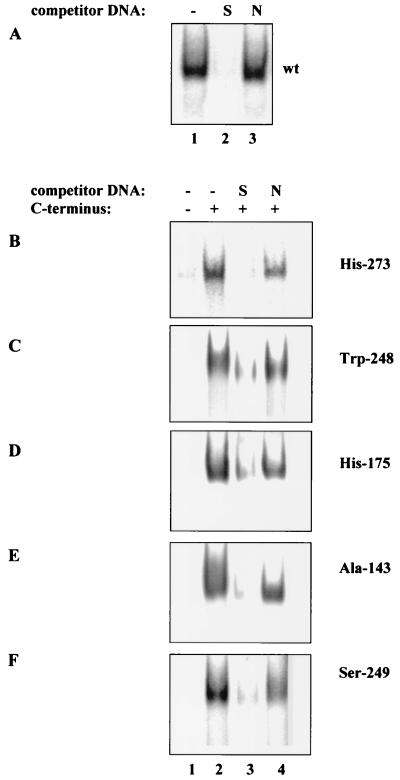 FIG. 5