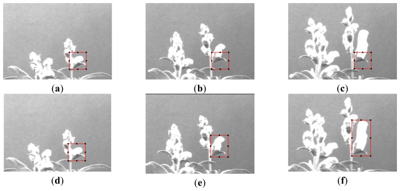 Figure 10.