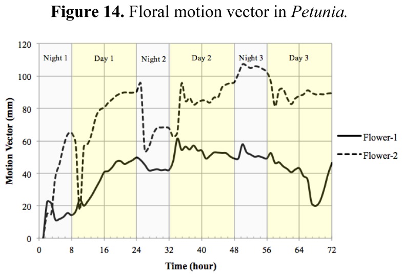 Figure 14.