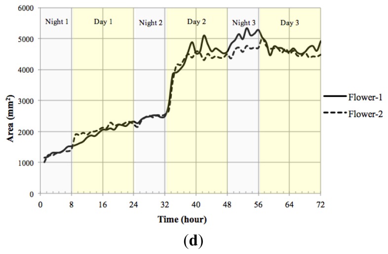 Figure 13.