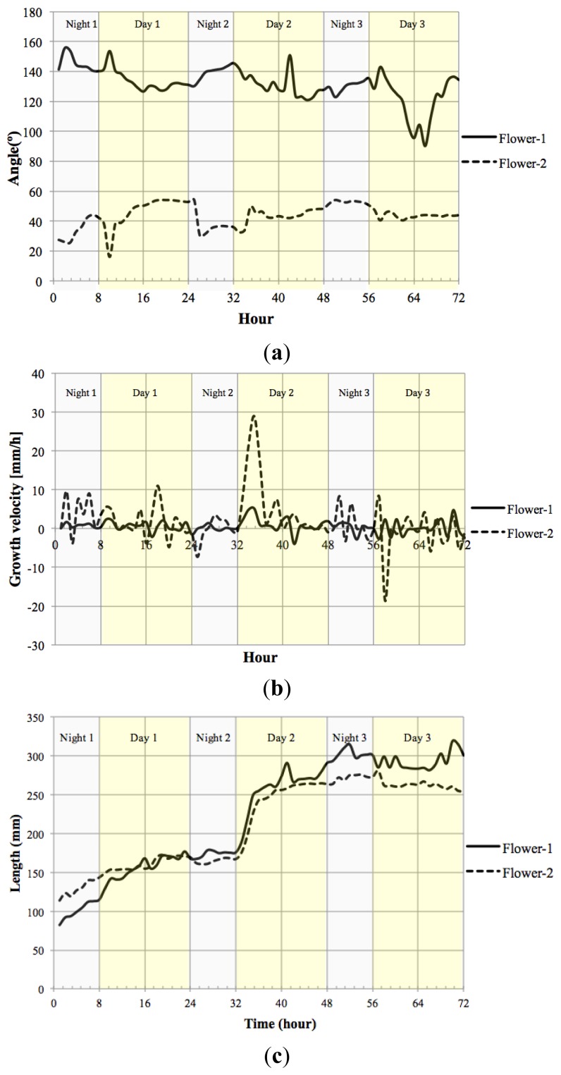 Figure 13.