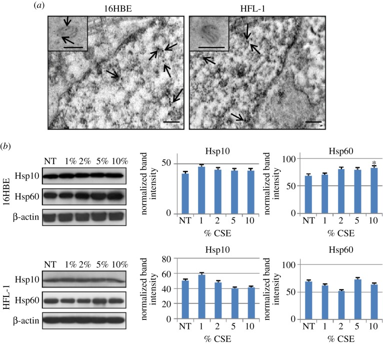 Figure 4.