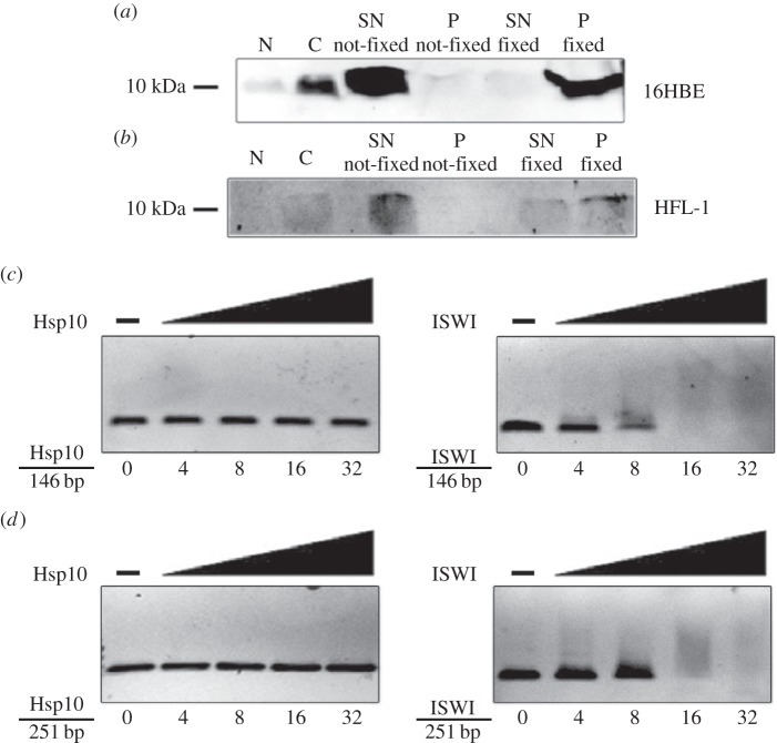 Figure 7.