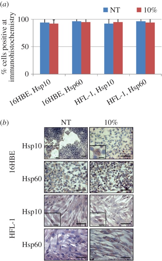 Figure 3.