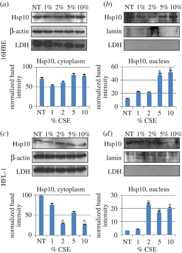 Figure 6.